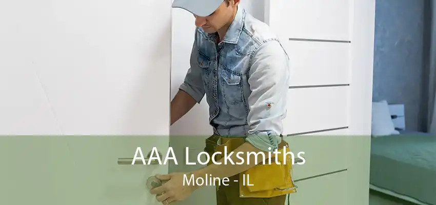 AAA Locksmiths Moline - IL