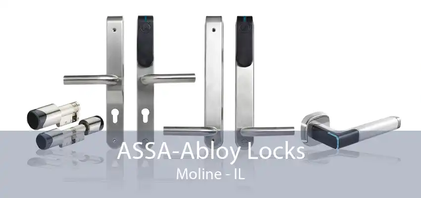 ASSA-Abloy Locks Moline - IL