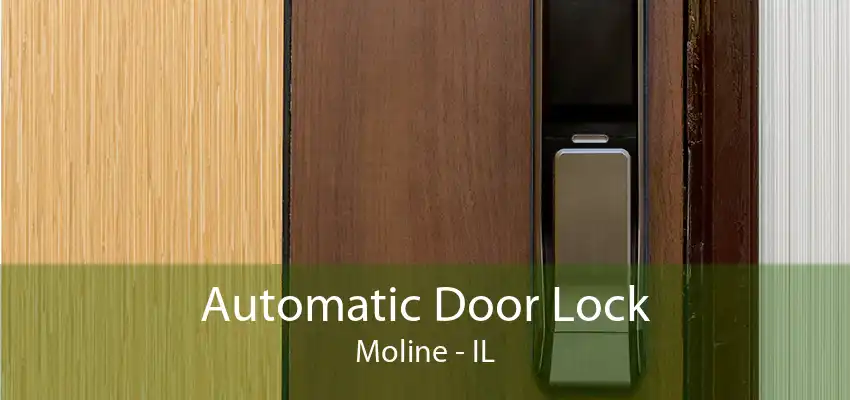 Automatic Door Lock Moline - IL