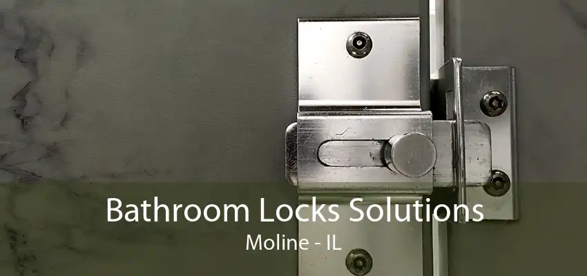 Bathroom Locks Solutions Moline - IL