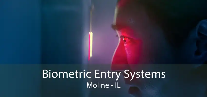 Biometric Entry Systems Moline - IL