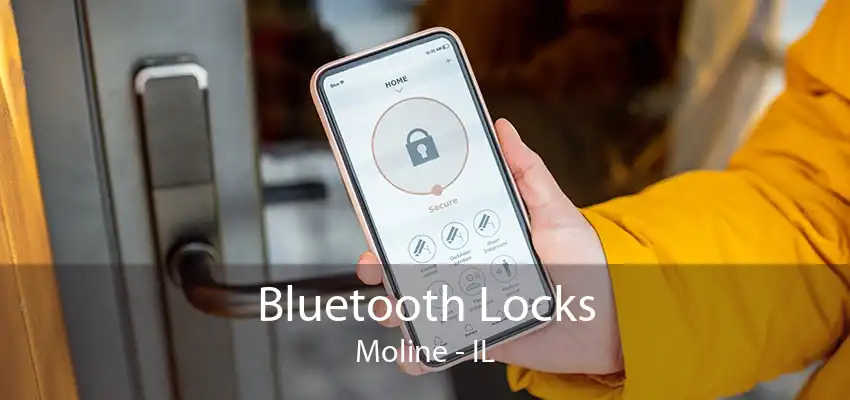 Bluetooth Locks Moline - IL