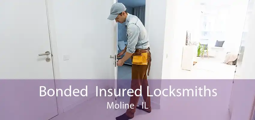 Bonded  Insured Locksmiths Moline - IL