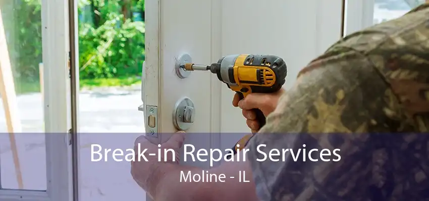 Break-in Repair Services Moline - IL