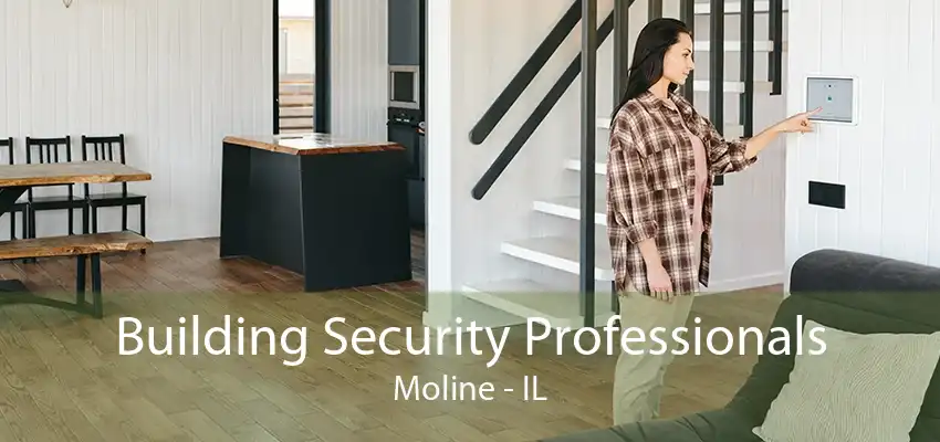 Building Security Professionals Moline - IL