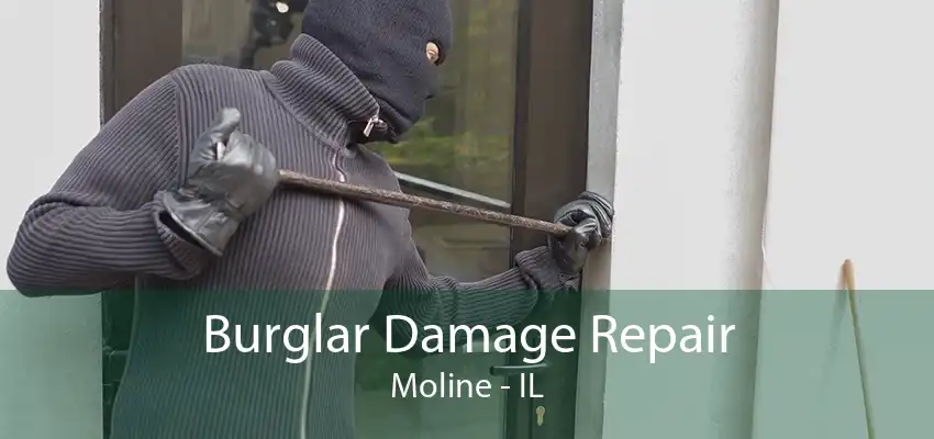 Burglar Damage Repair Moline - IL