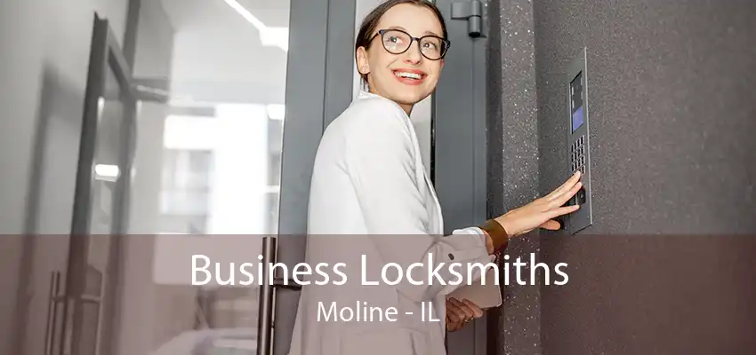 Business Locksmiths Moline - IL