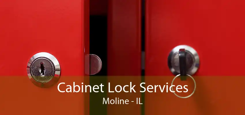 Cabinet Lock Services Moline - IL