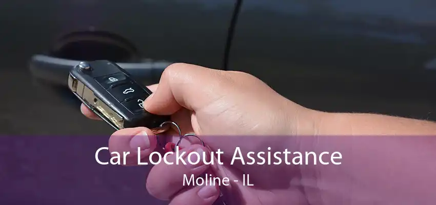 Car Lockout Assistance Moline - IL