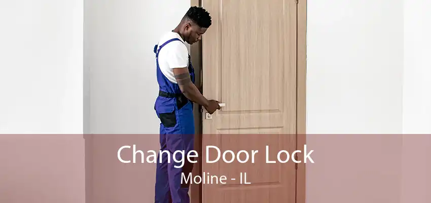 Change Door Lock Moline - IL