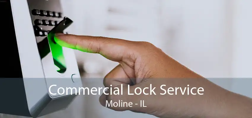 Commercial Lock Service Moline - IL