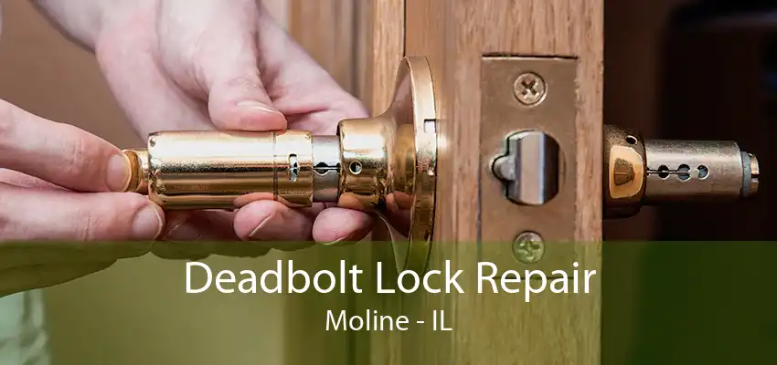 Deadbolt Lock Repair Moline - IL