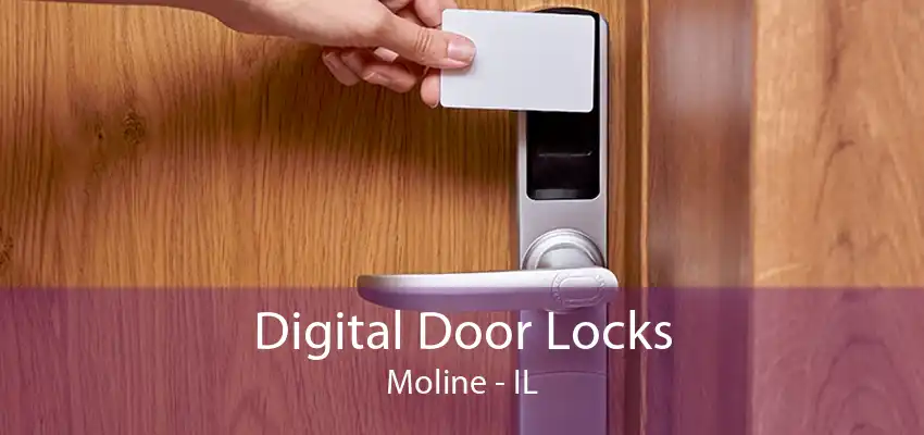 Digital Door Locks Moline - IL