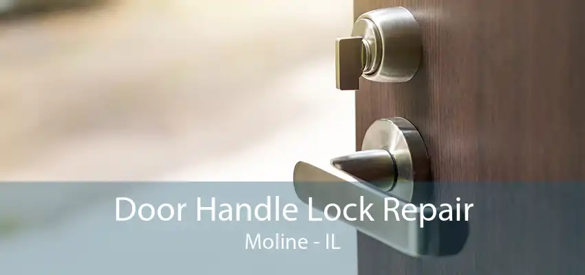 Door Handle Lock Repair Moline - IL