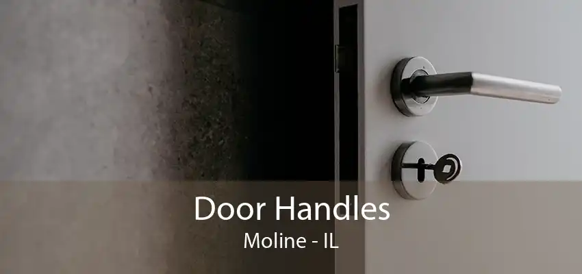 Door Handles Moline - IL