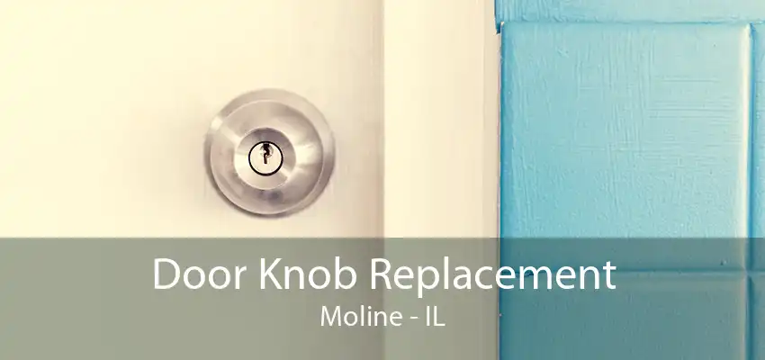 Door Knob Replacement Moline - IL