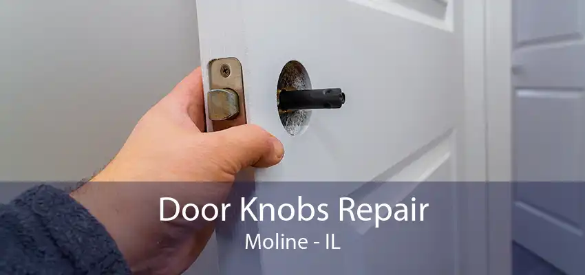 Door Knobs Repair Moline - IL