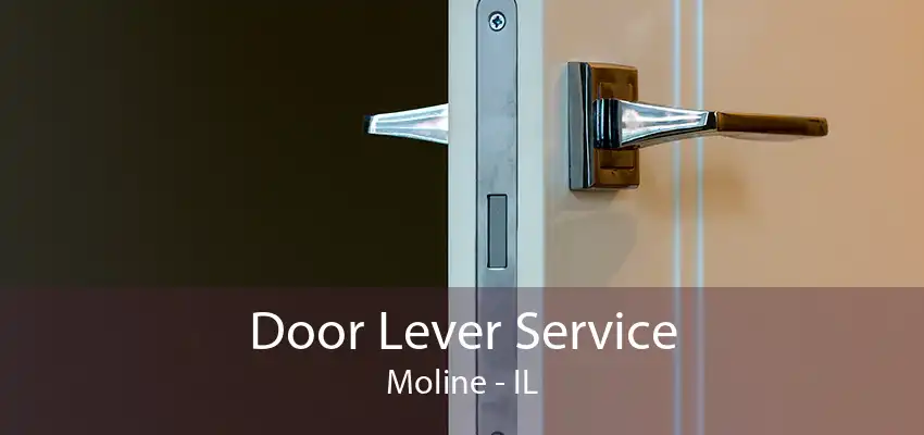 Door Lever Service Moline - IL