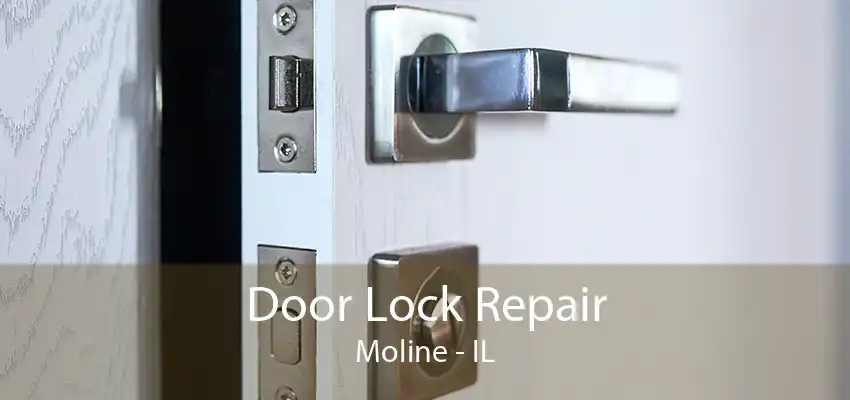 Door Lock Repair Moline - IL