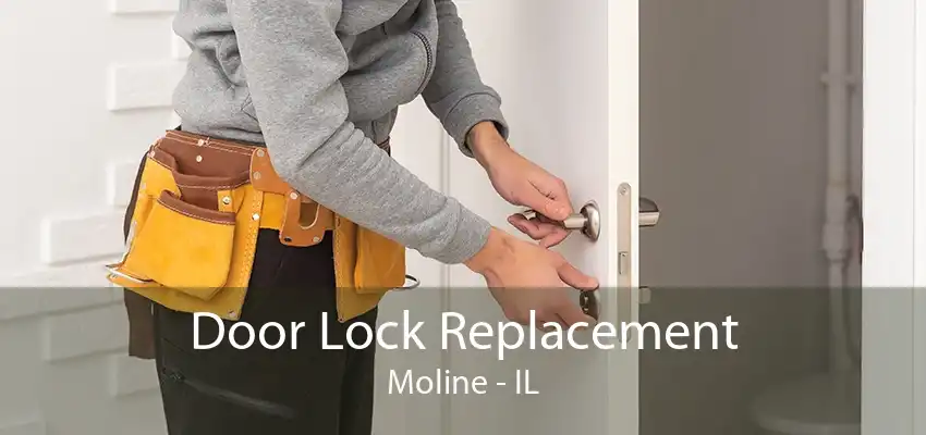 Door Lock Replacement Moline - IL