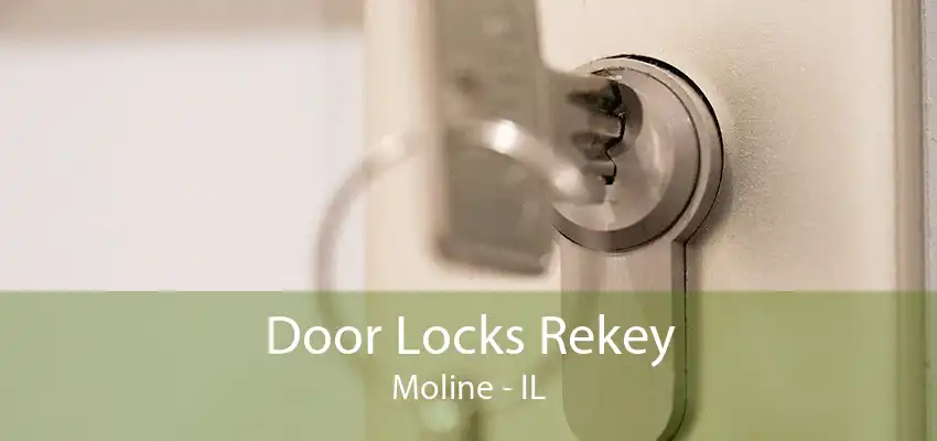 Door Locks Rekey Moline - IL