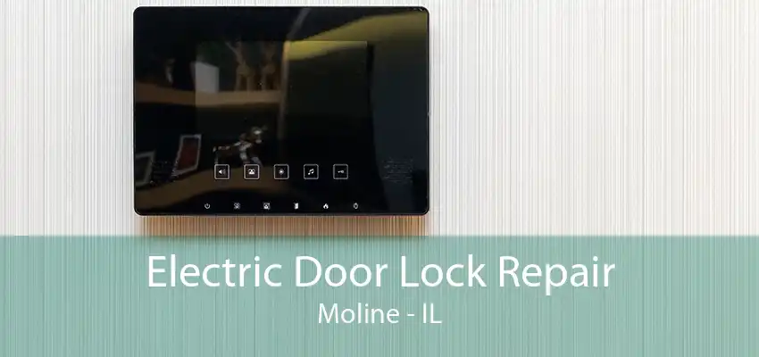 Electric Door Lock Repair Moline - IL