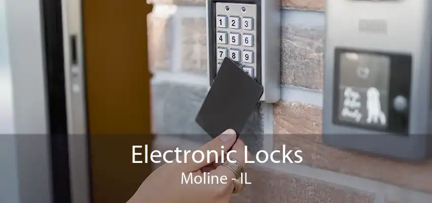 Electronic Locks Moline - IL