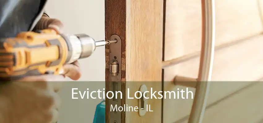 Eviction Locksmith Moline - IL