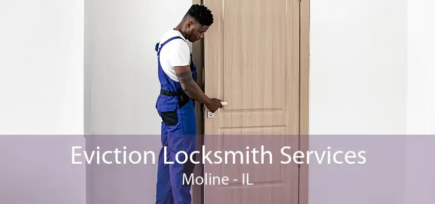 Eviction Locksmith Services Moline - IL