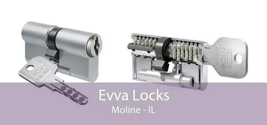 Evva Locks Moline - IL