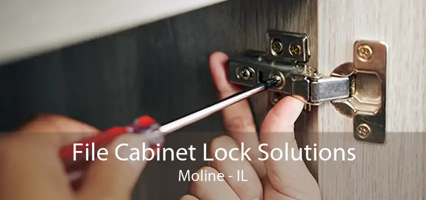 File Cabinet Lock Solutions Moline - IL