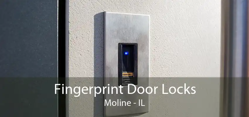 Fingerprint Door Locks Moline - IL