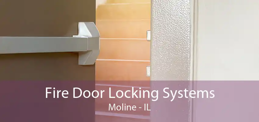 Fire Door Locking Systems Moline - IL