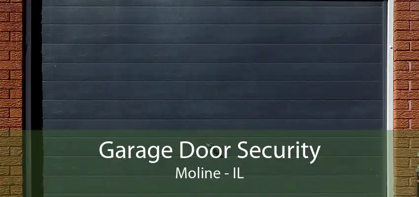 Garage Door Security Moline - IL