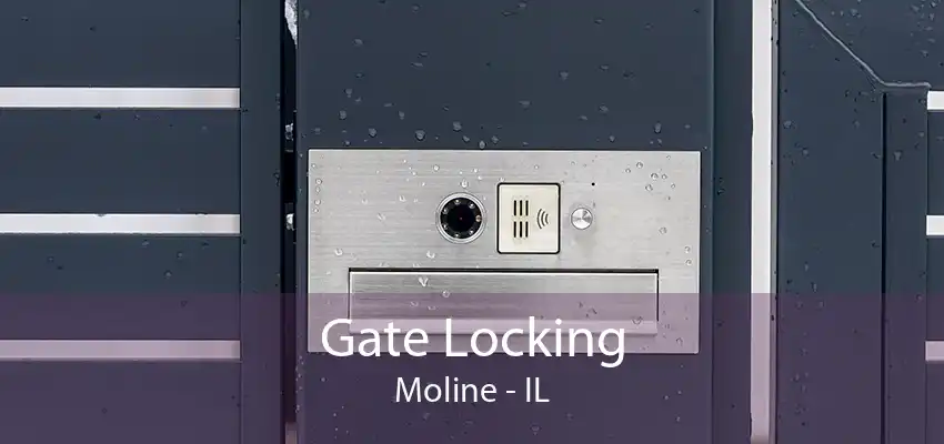 Gate Locking Moline - IL