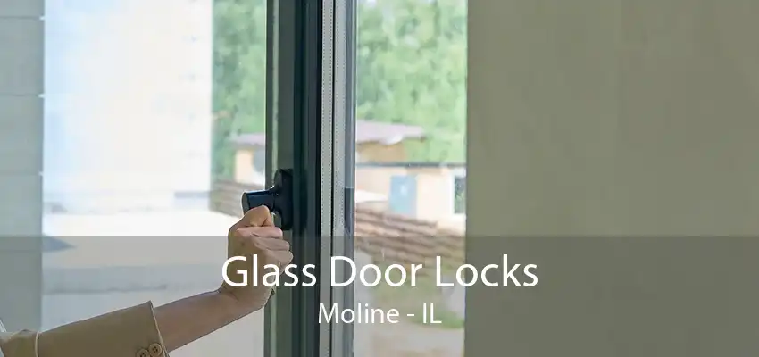 Glass Door Locks Moline - IL