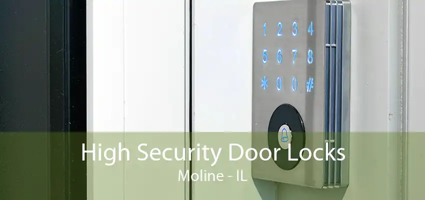 High Security Door Locks Moline - IL