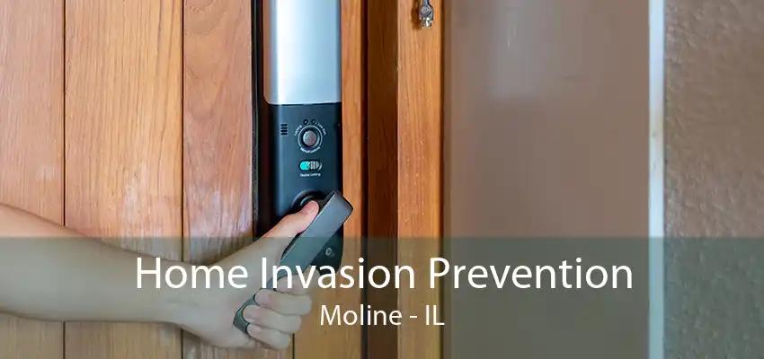 Home Invasion Prevention Moline - IL