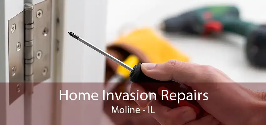 Home Invasion Repairs Moline - IL