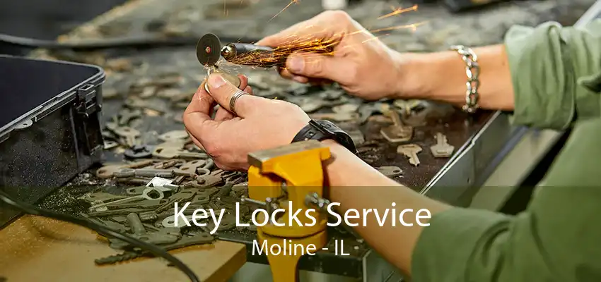 Key Locks Service Moline - IL