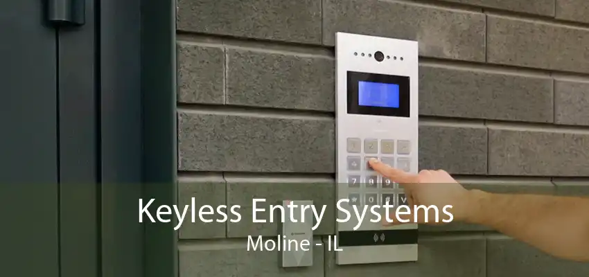 Keyless Entry Systems Moline - IL