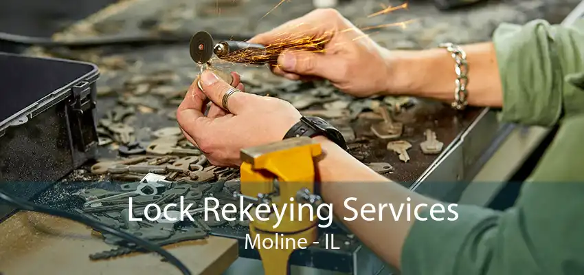 Lock Rekeying Services Moline - IL