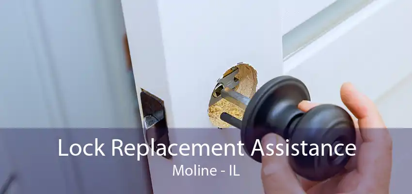 Lock Replacement Assistance Moline - IL