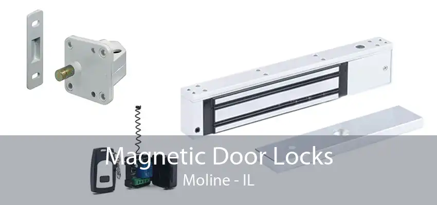 Magnetic Door Locks Moline - IL