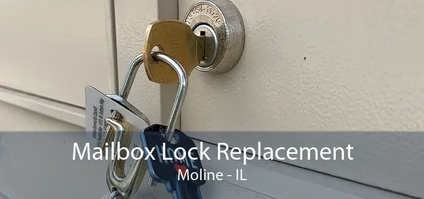 Mailbox Lock Replacement Moline - IL