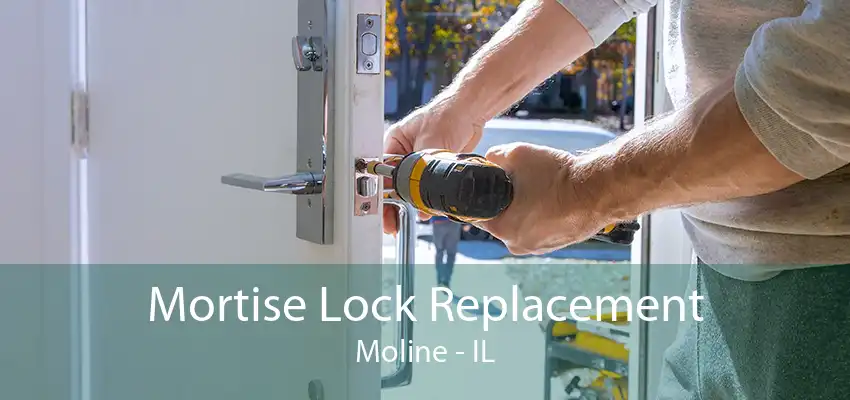 Mortise Lock Replacement Moline - IL