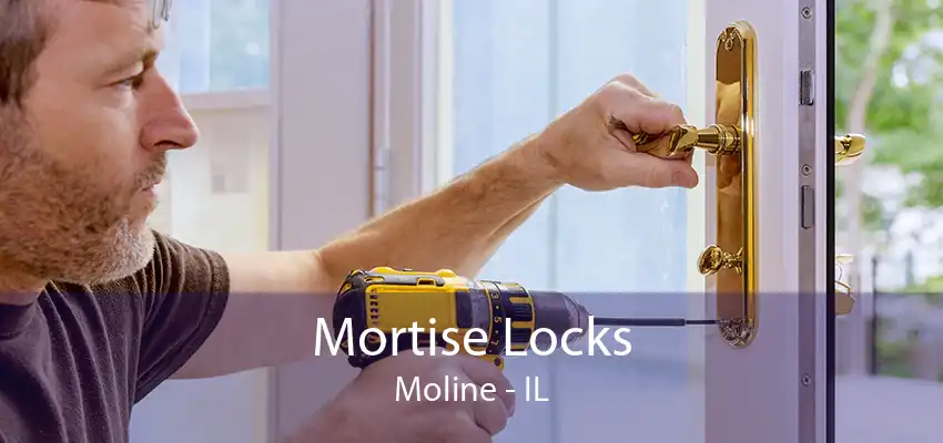 Mortise Locks Moline - IL