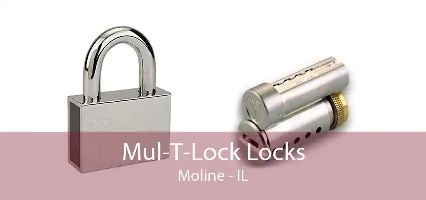 Mul-T-Lock Locks Moline - IL