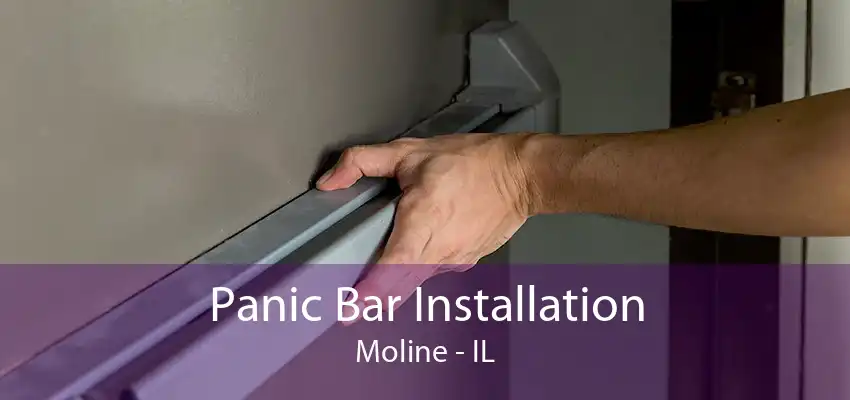 Panic Bar Installation Moline - IL