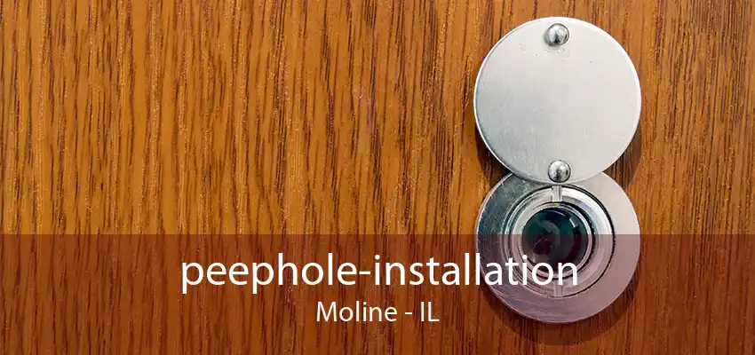 peephole-installation Moline - IL